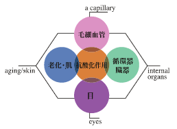 ブラックナイン｜健康美サプリメント｜株式会社LeoSizeDesign