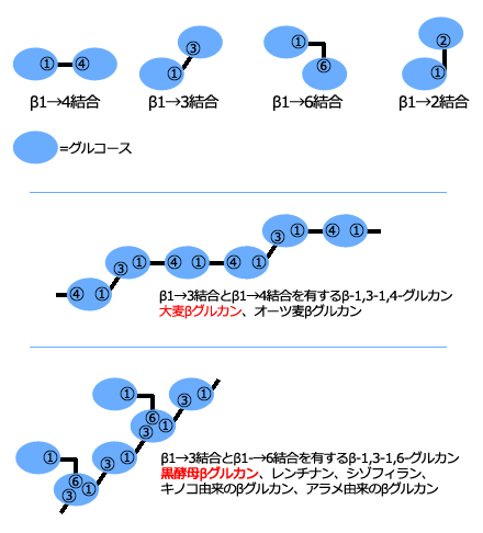 ブラックナイン｜健康美サプリメント｜株式会社LeoSizeDesign