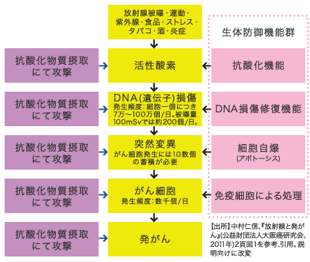 ブラックナイン｜健康美サプリメント｜株式会社LeoSizeDesign